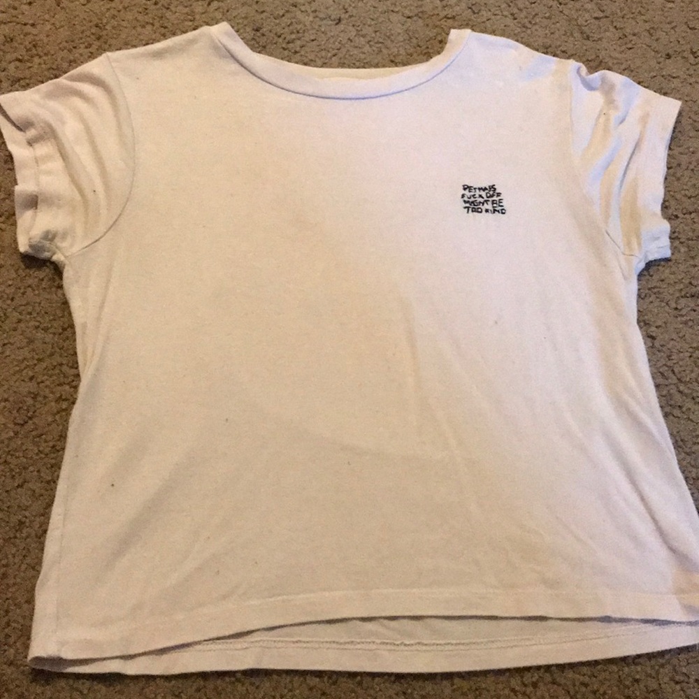 Pacsun shirt crop top